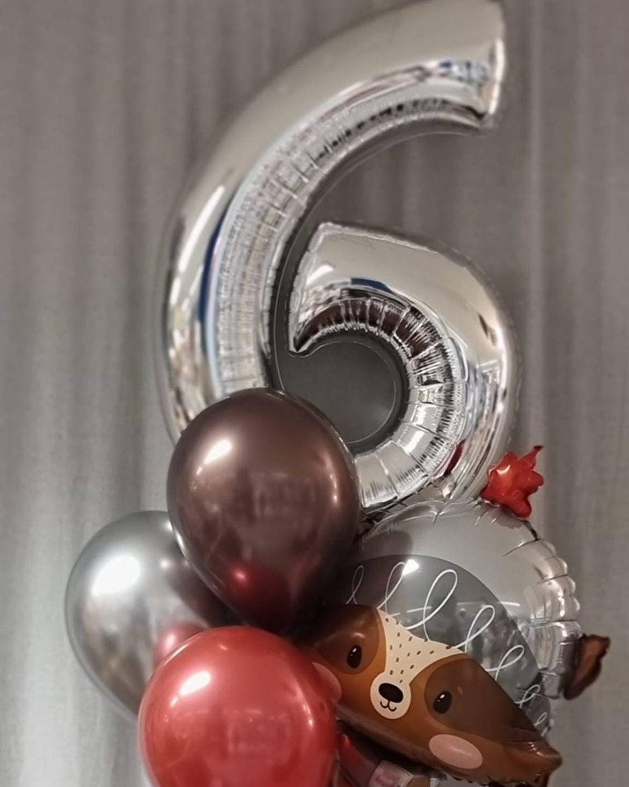 Silberne Folienzahl 6 mit Ballonbouquet in Braun, Rot und Silber und einem Hunde-Folienballon